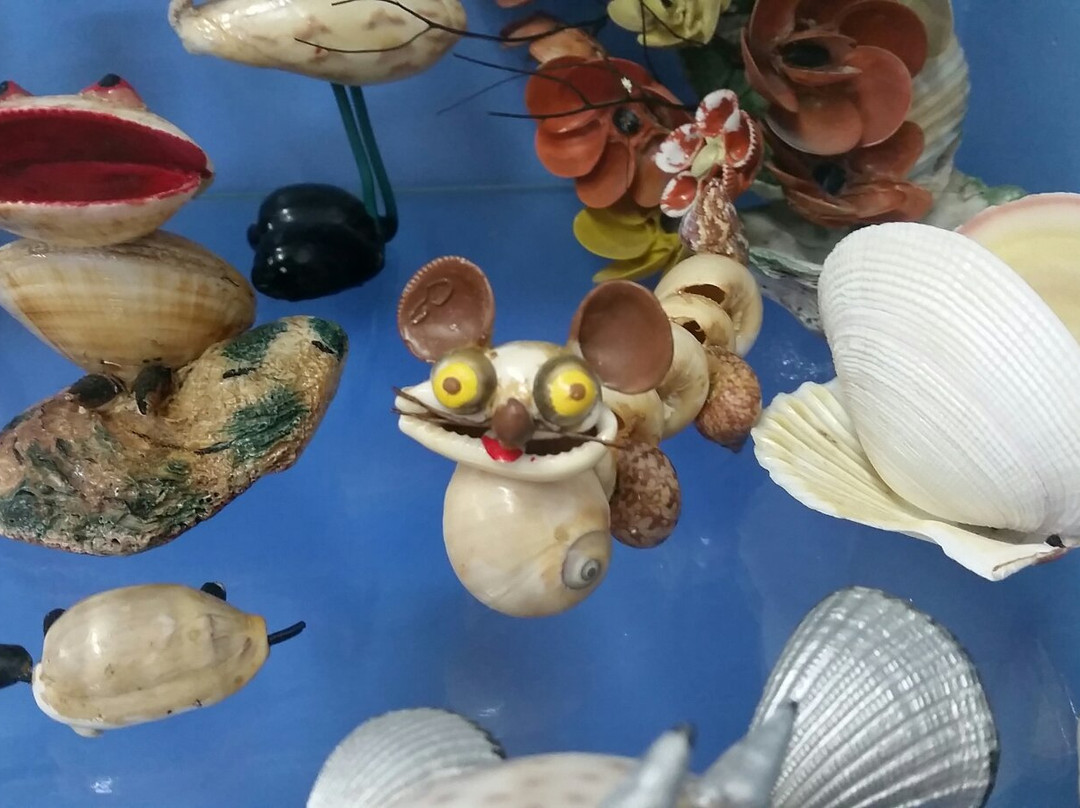 Shell World Yeppoon景点图片