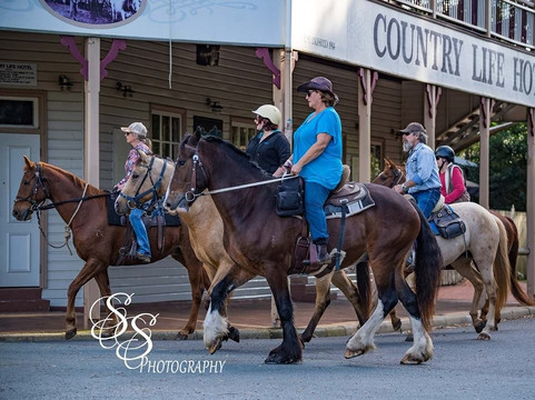 Noosa Trail Network-Kin Kin必去景点