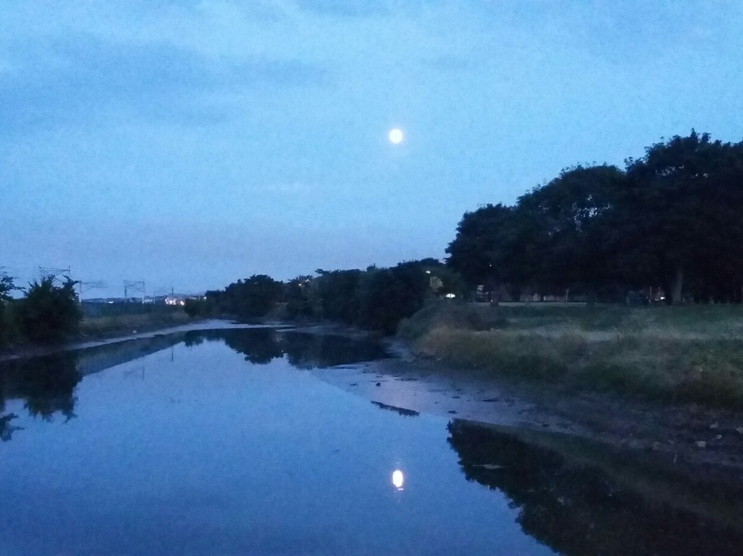Booterstown Bird Sanctuary-都柏林必去景点