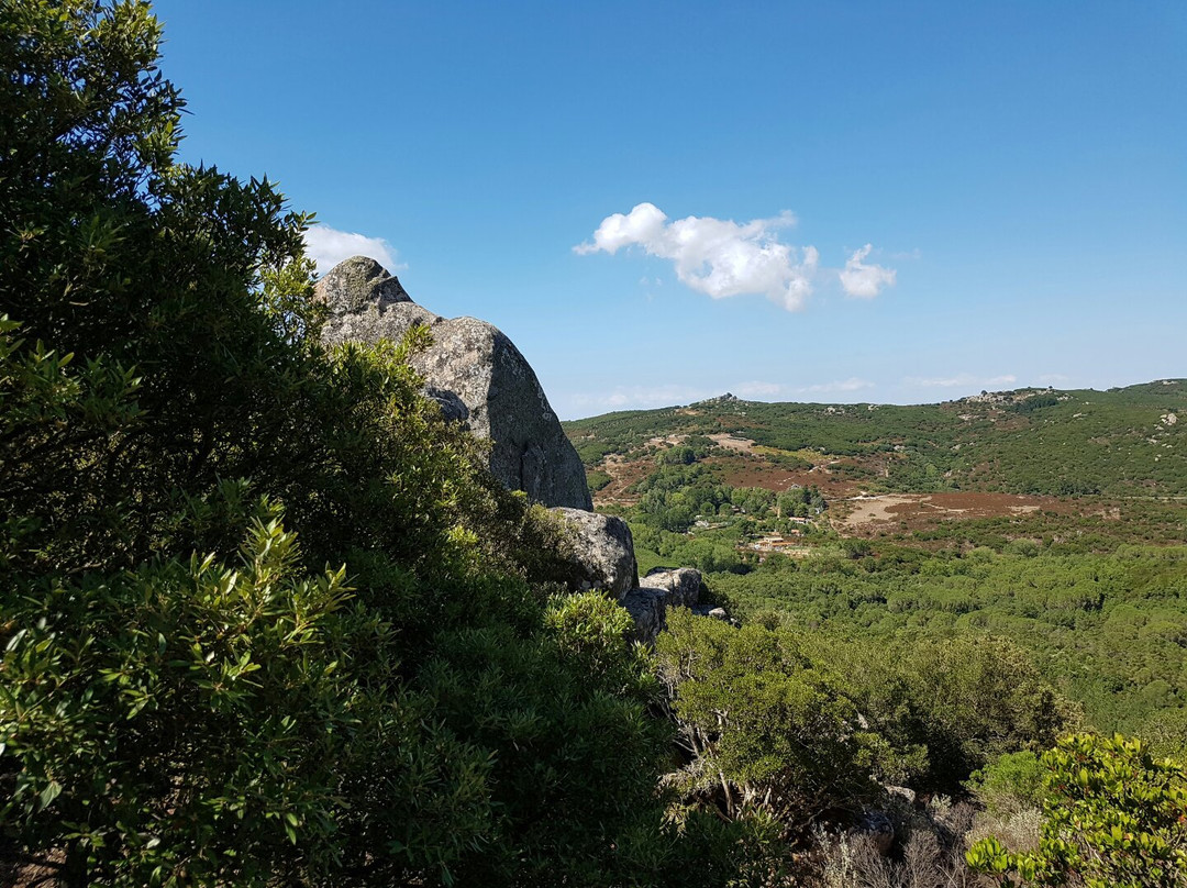 Foresta Demaniale dei Sette Fratelli