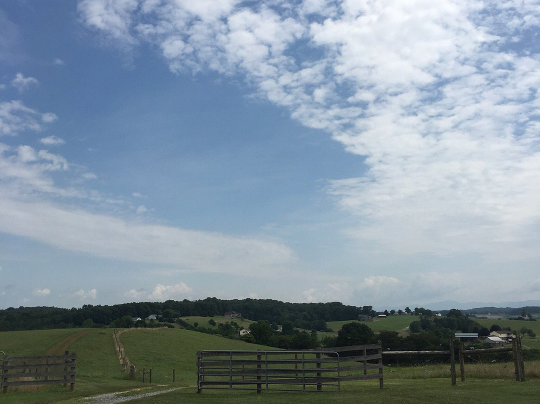 Star B Stables-斯汤顿必去景点