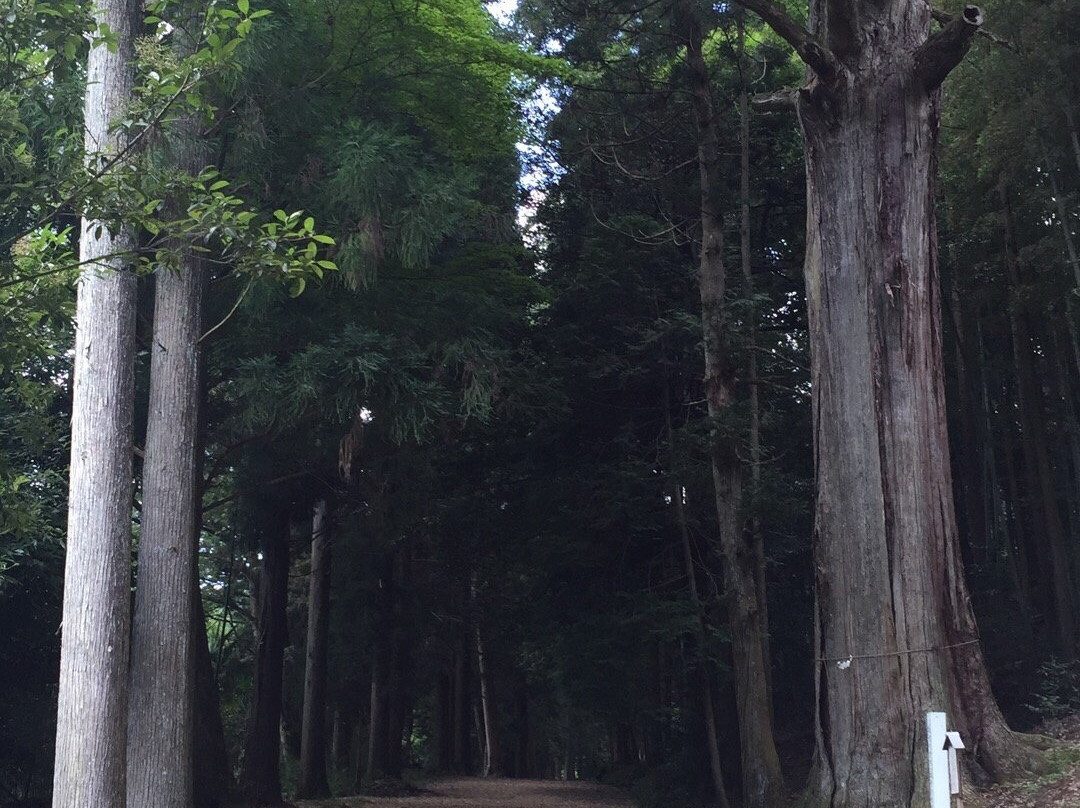 Shitsumi Hachimangu Shrine-京丹波町必去景点