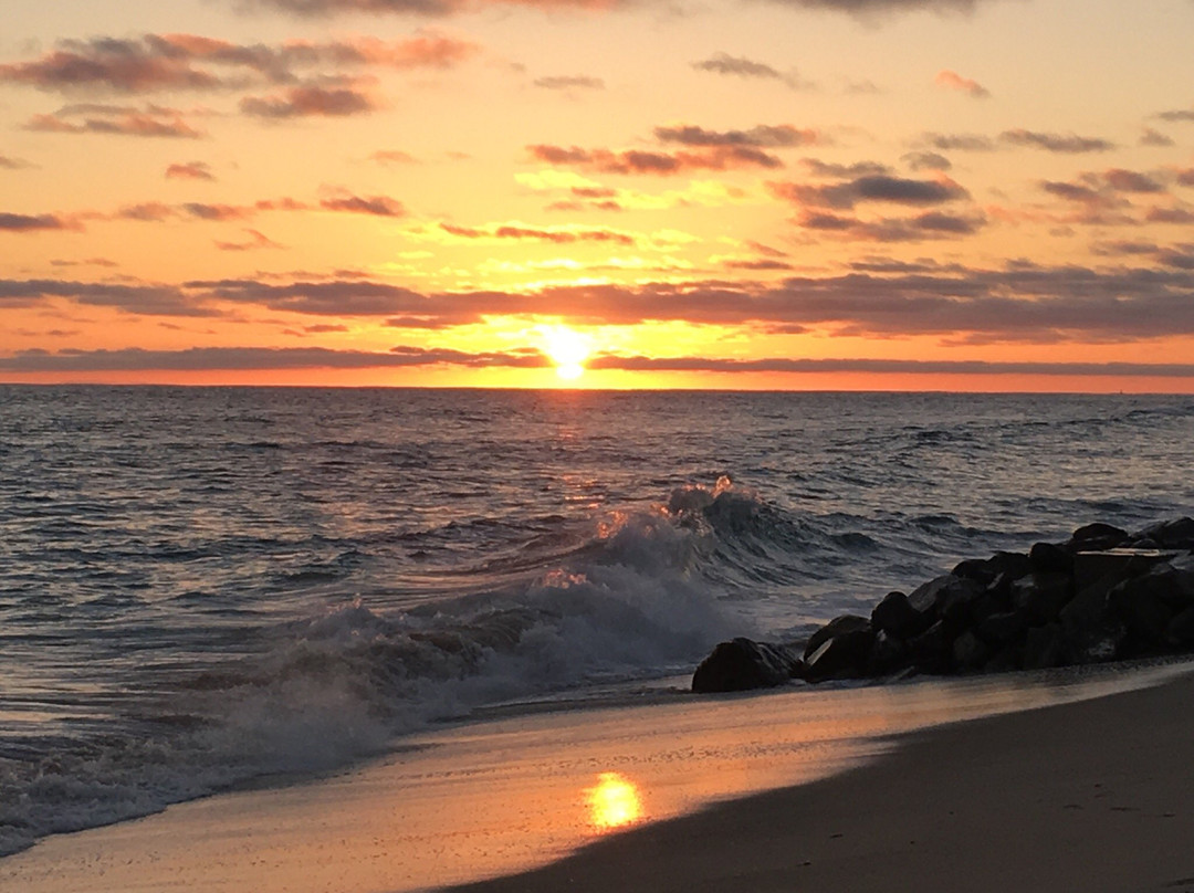 Buccaneer Park-欧申赛德必去景点