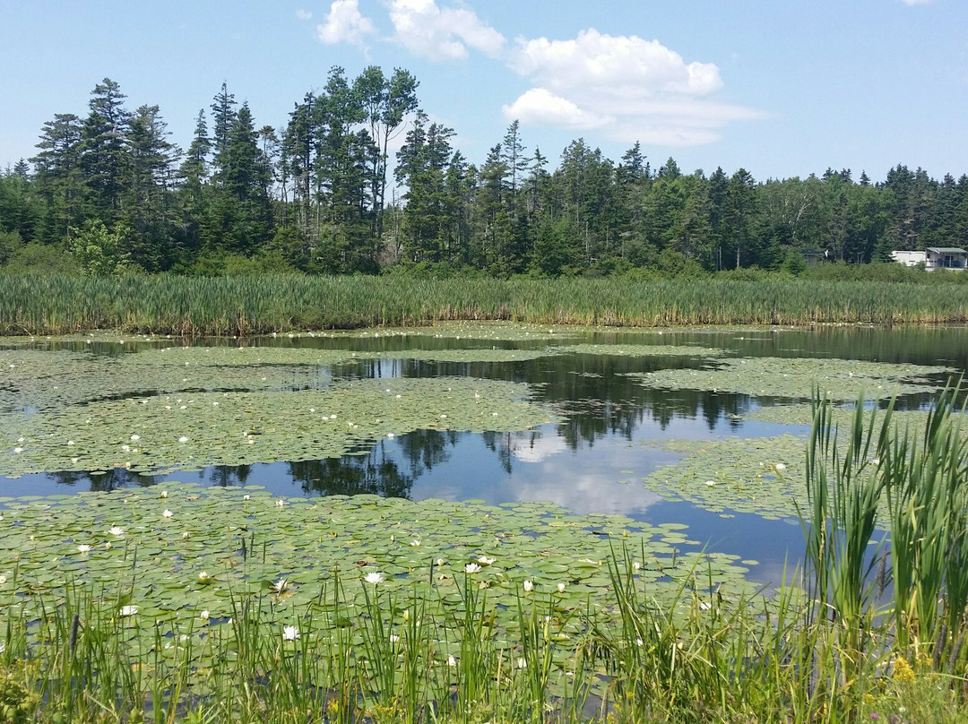 Chester Basin旅游攻略图片