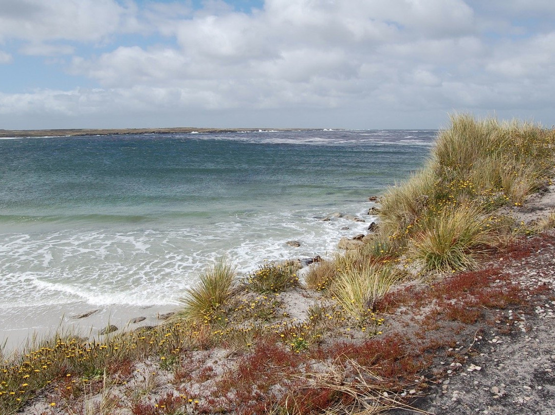 Surf Bay-Stanley必去景点