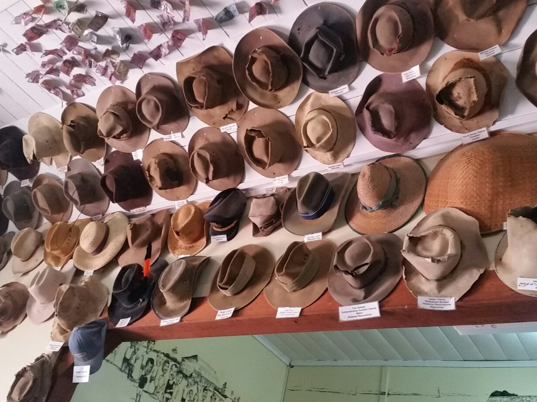 Ilfracombe餐馆和美食-Wellshot Hotel