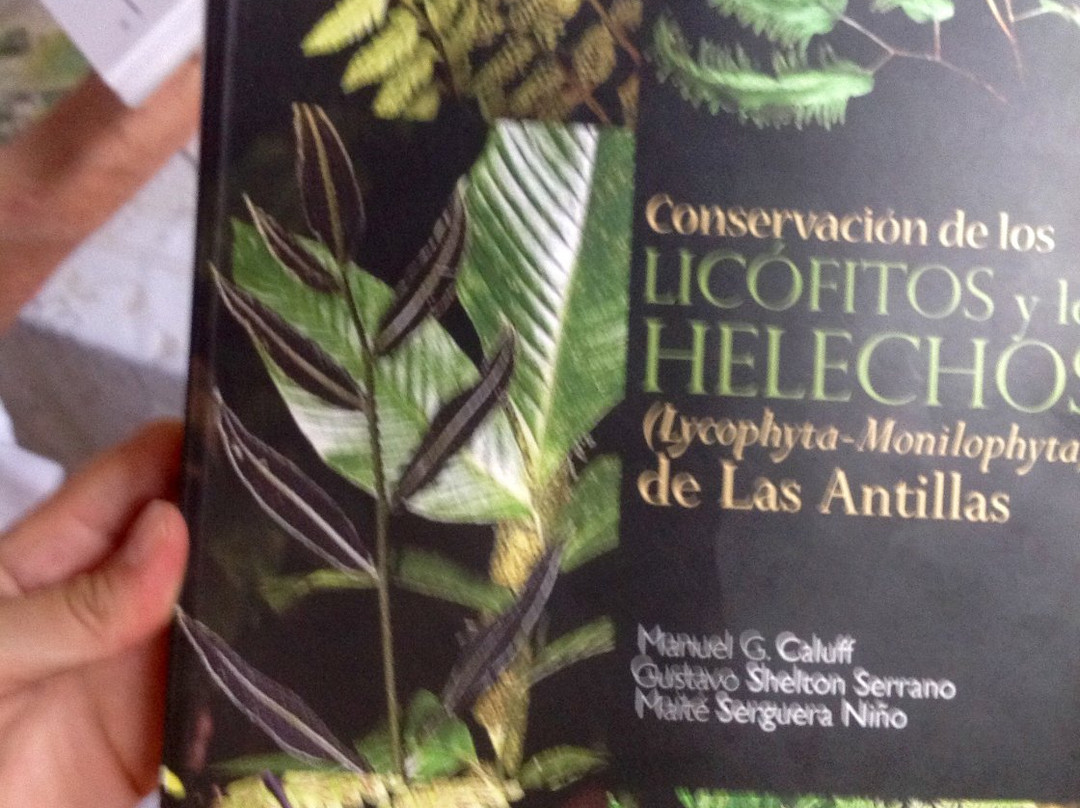 Jardin de los Helechos景点图片
