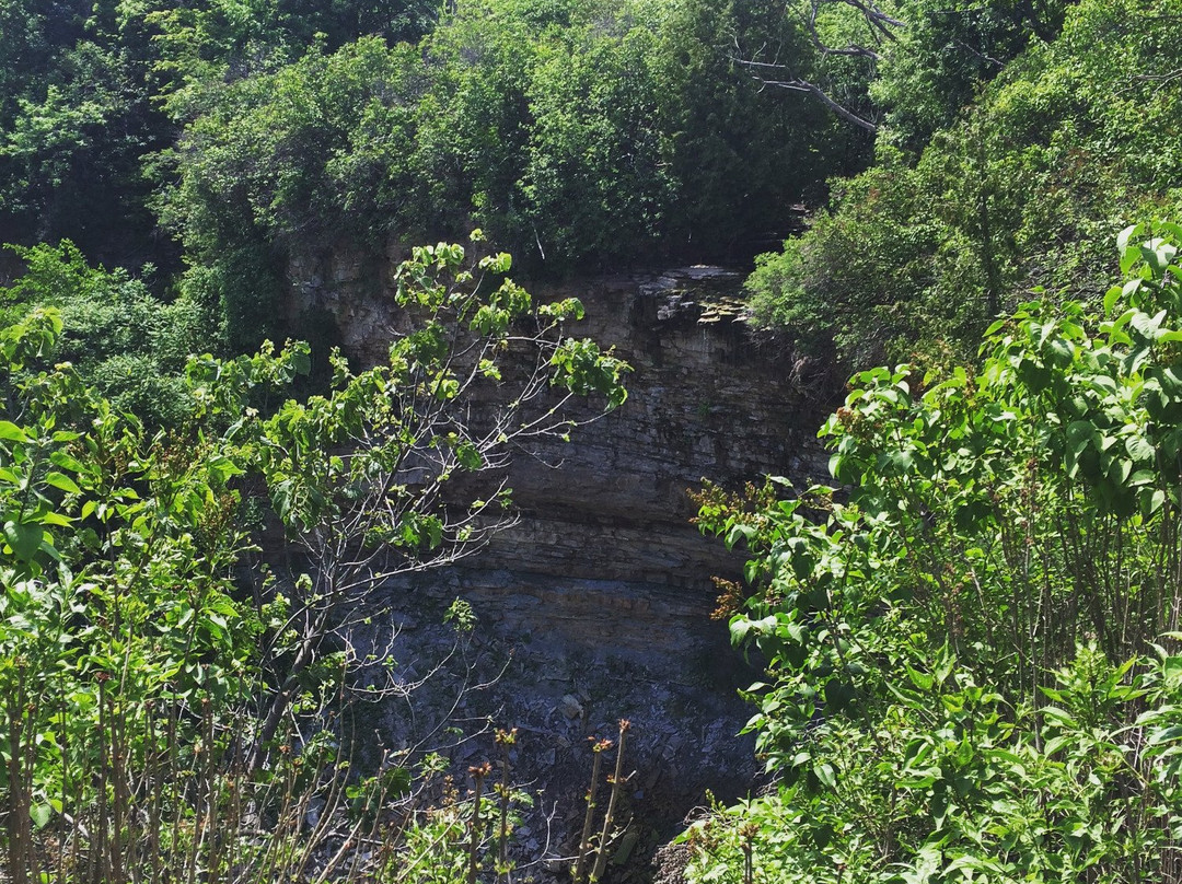 Borer's Falls Conservation Area-邓达斯必去景点