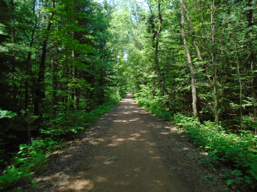 Hiawatha Trail景点图片