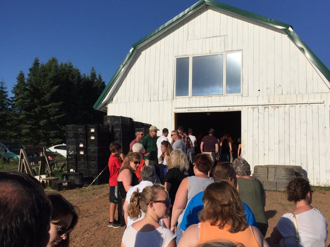 Stoney Acres Farm-Athens必去景点