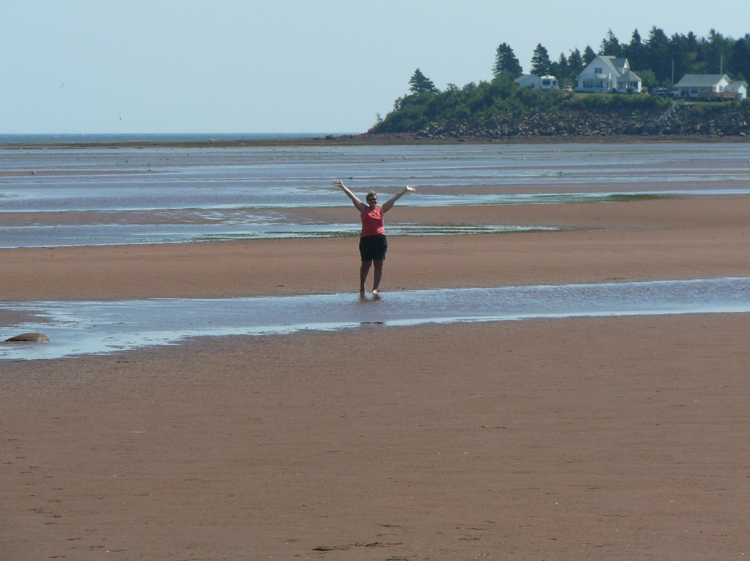 D's B & B by the sea主图