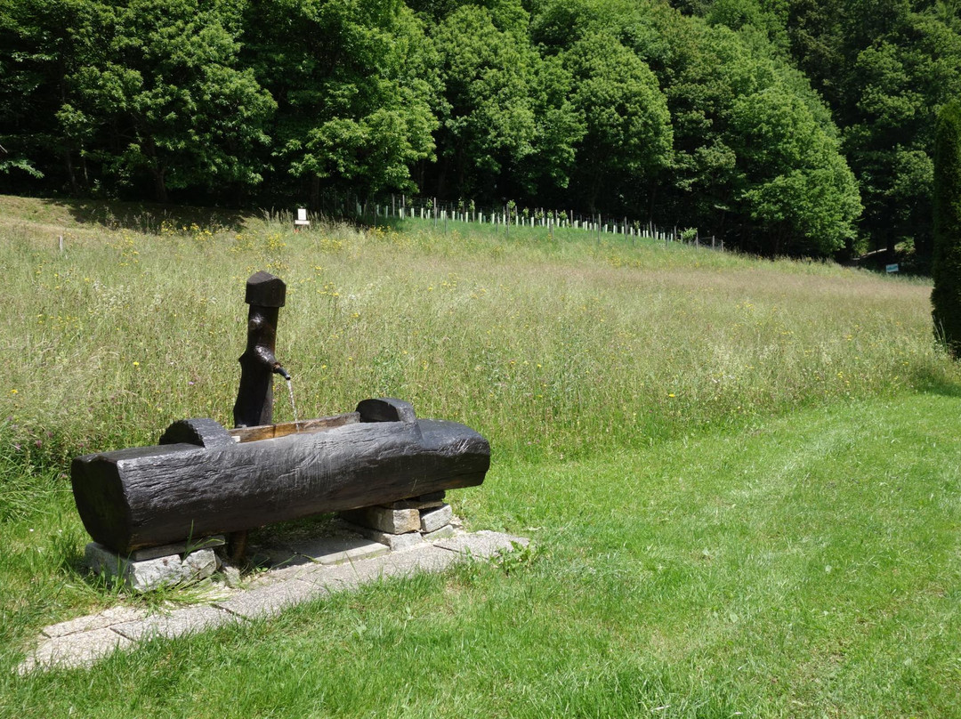 Edelkastanienwald und Waldlehrpfad-阿特湖畔翁特拉赫必去景点