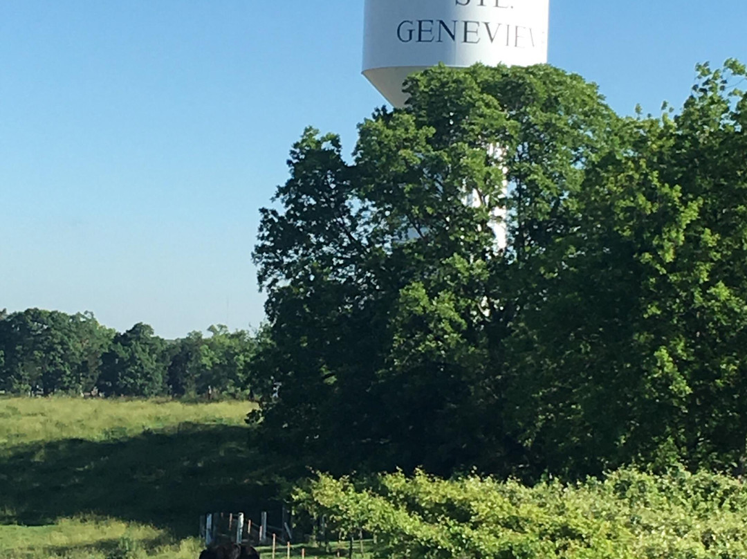 Watertower Winery景点图片