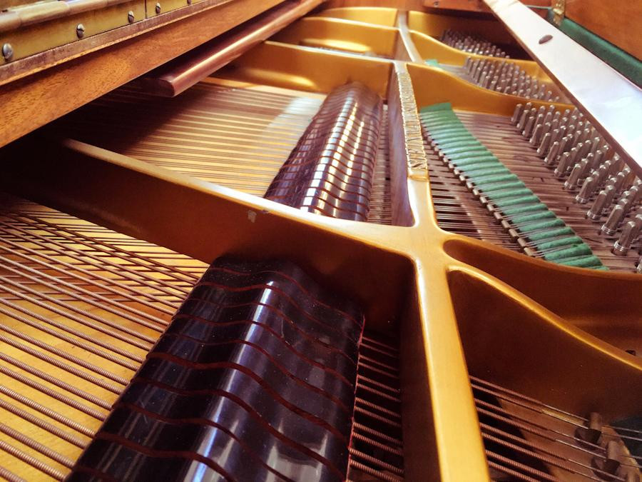 Waalse Kerk Haarlem-哈勒姆必去景点