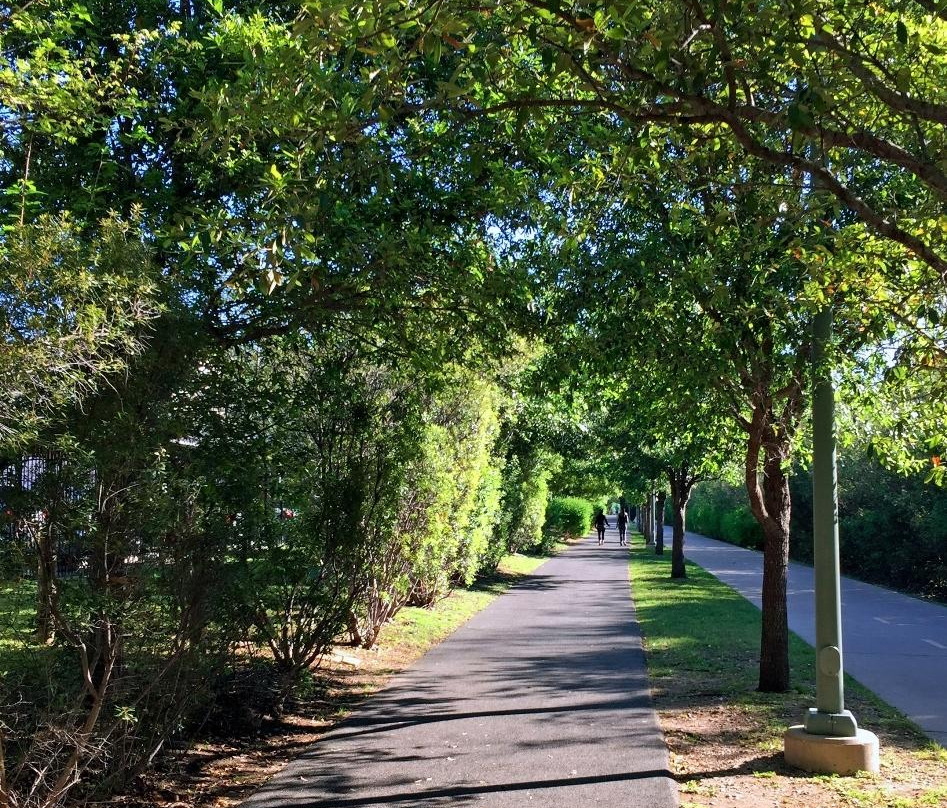 自行车行-达拉斯必去景点