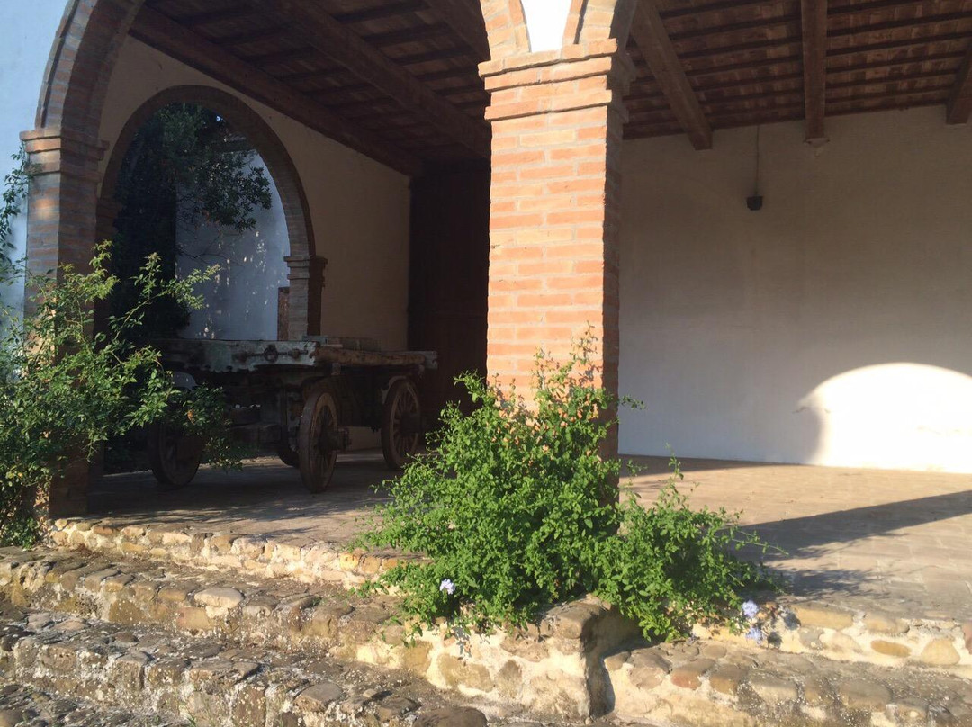 Ex Monastero di Scardavilla景点图片