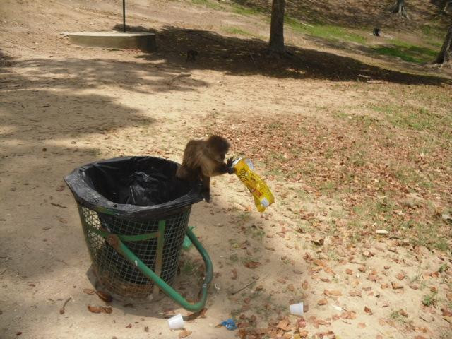 Parque Zoológico Caricuao景点图片