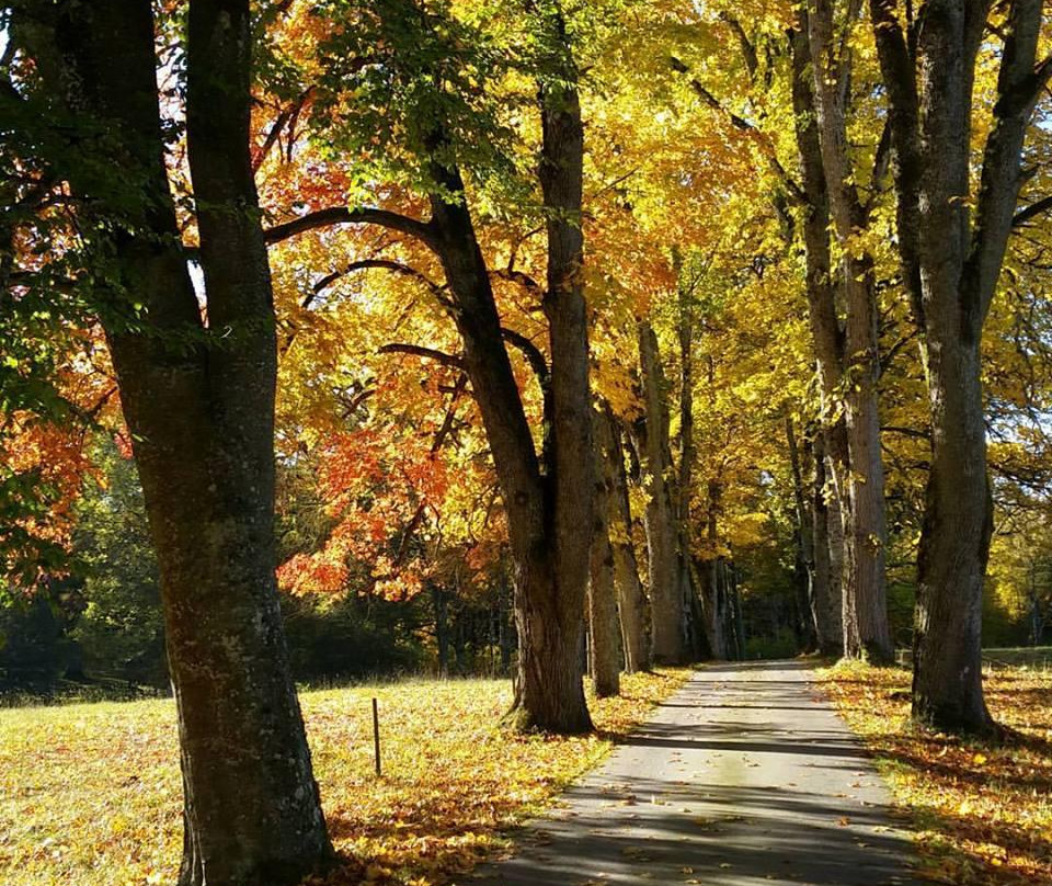 Gullaskruv酒店住宿-Grimsnas Herrgard