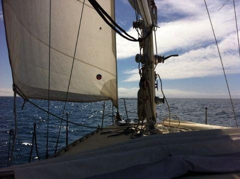 Casual Fare Sailing Charters Townsville-汤斯维尔必去景点