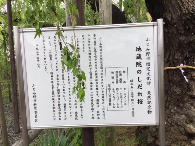 Jizo-in-富士见野市必去景点