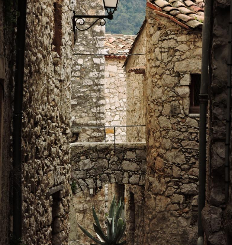 Chapelle des Penitents Blancs景点图片