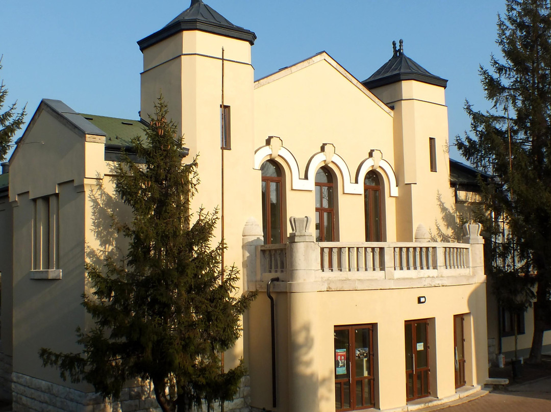 VOKE József Attila Cultural Centre景点图片