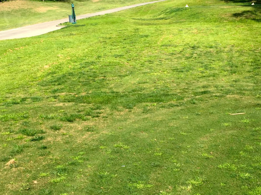 安妮峡谷高尔夫俱乐部-戈利塔必去景点