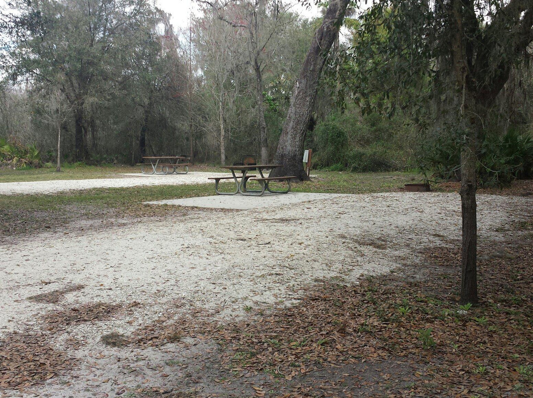 Brownville Park-阿卡迪亚必去景点