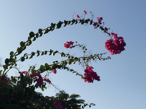 科纳海滨之家主图