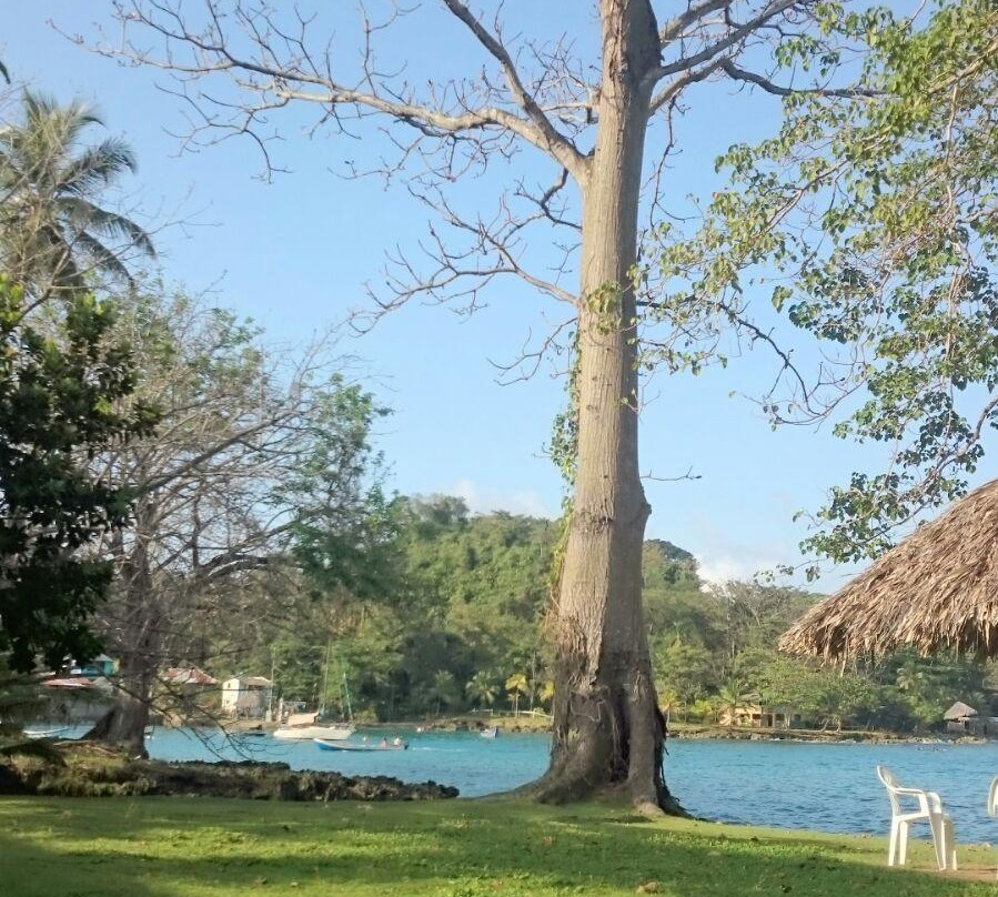 Hotel Las Ceibas主图