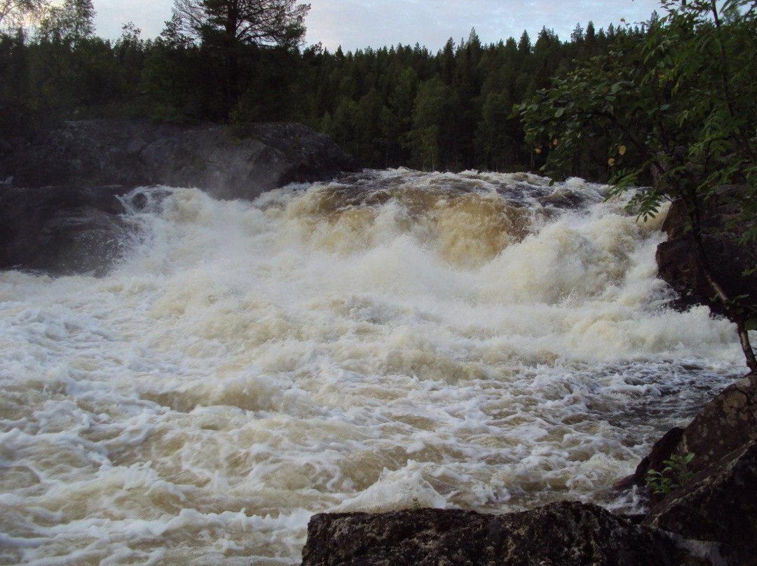 Paanajarvi National Park景点图片