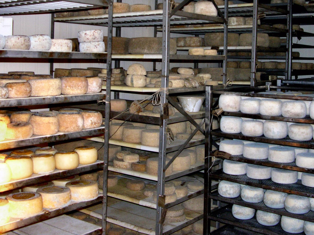 Podere Paterno景点图片