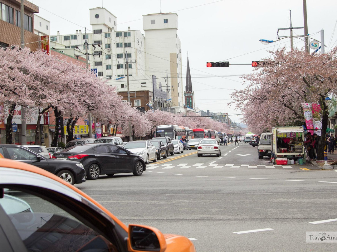 Jinhae NFRDI Environment Eco-park-昌原市必去景点
