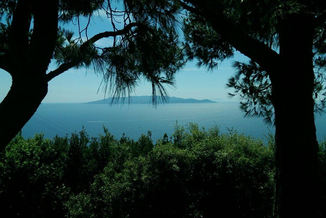 Cala Piccola旅游攻略图片
