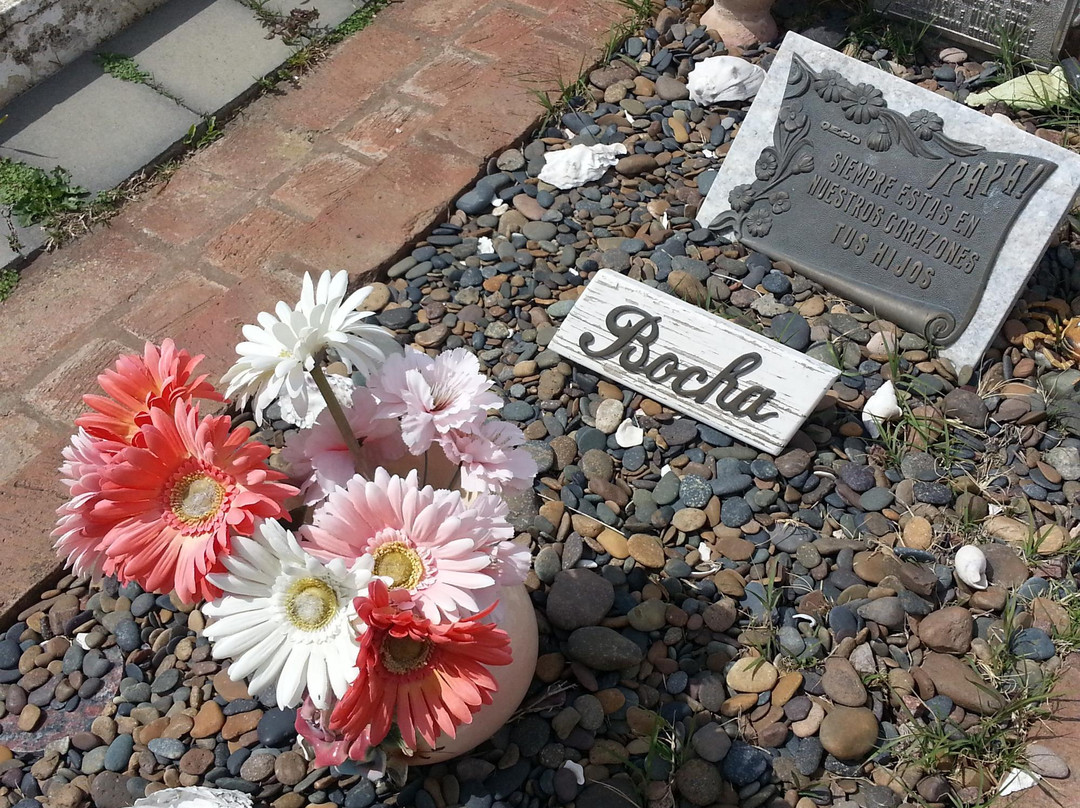 Cementerio de Pigue-Pigue必去景点