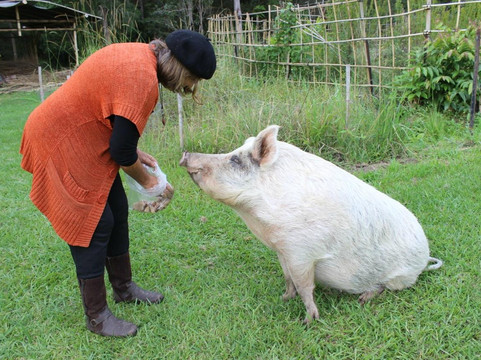 Djanbung Gardens-Nimbin必去景点