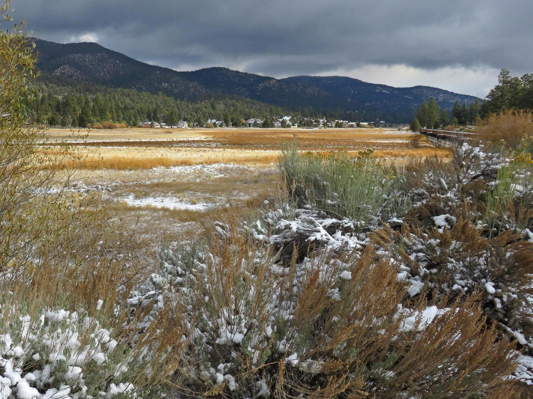 Stanfield Marsh Wildlife and Waterfowl Preserve-大熊湖必去景点