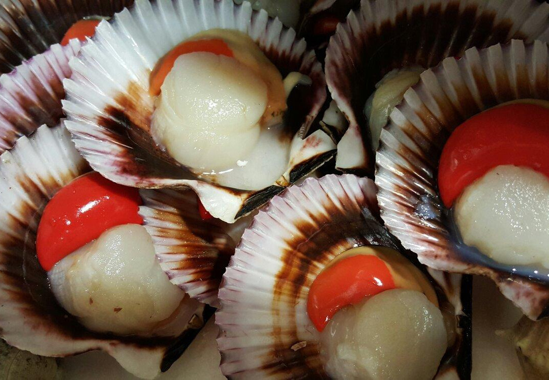 Casa Tomas-Crevillente必去景点