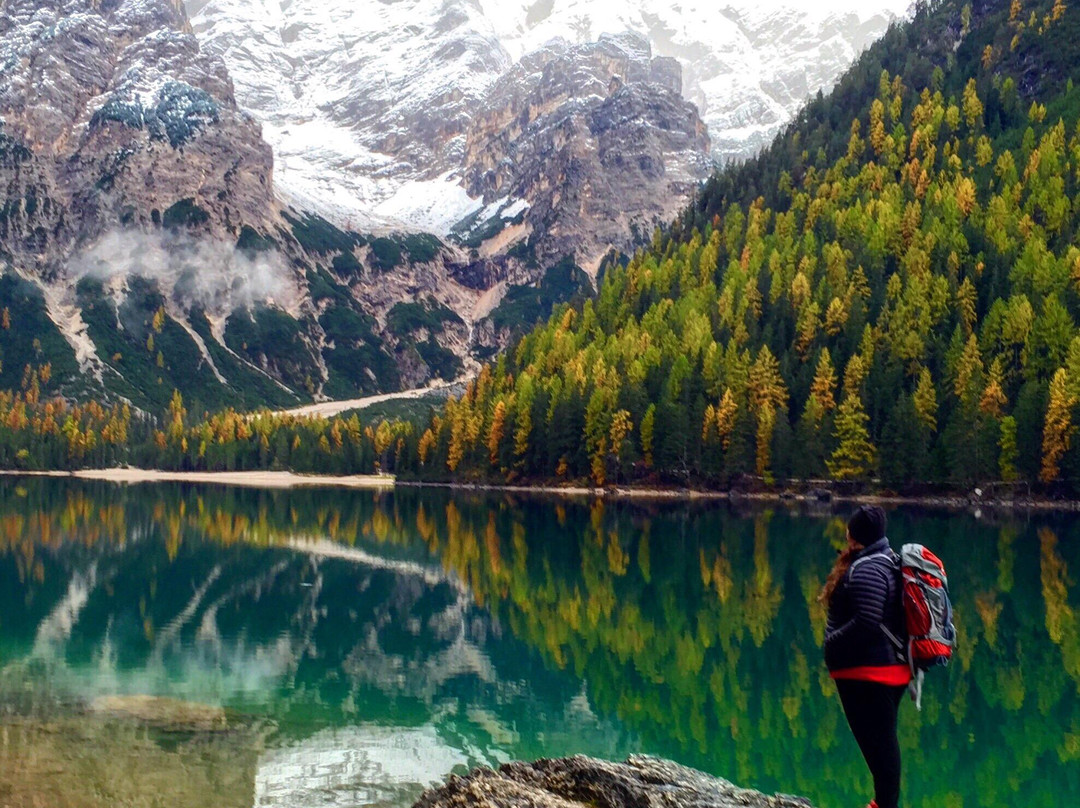 Centro Visite Parco Fanes-Sennes-Braies San Vigilio in Marebbe景点图片