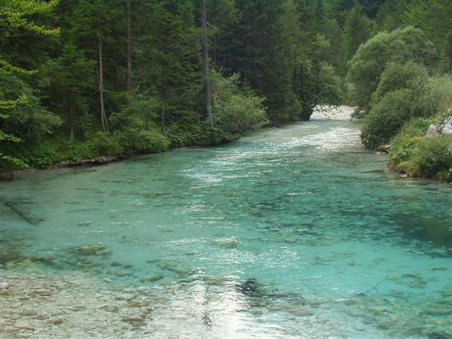 特里格拉夫公寓