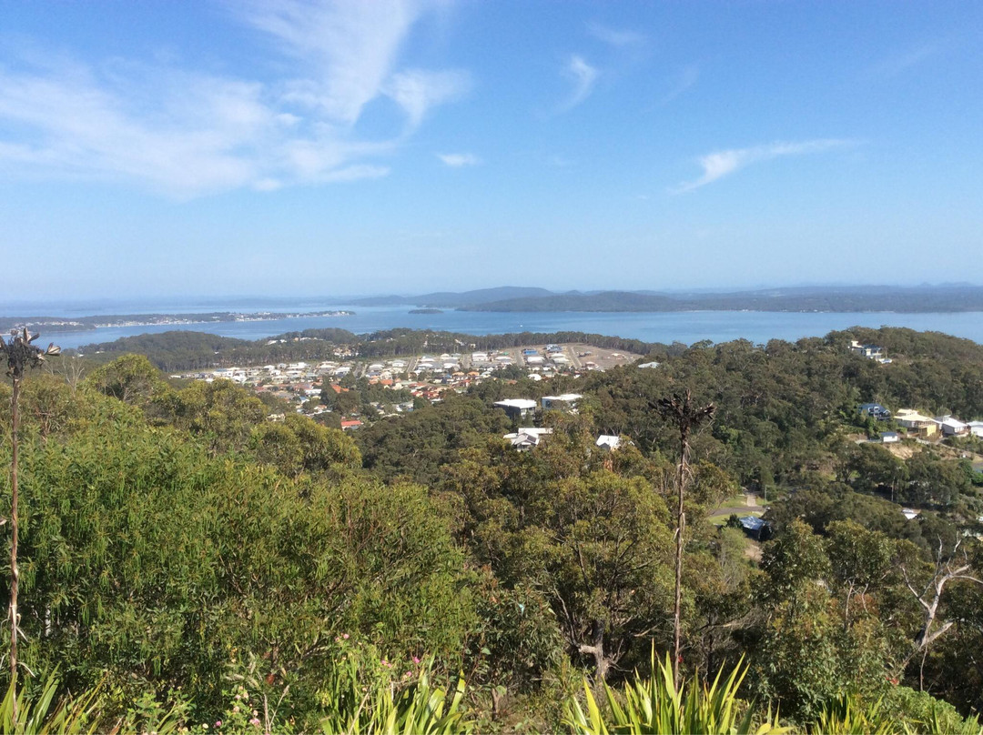 Gan Gan Lookout-尼尔森湾必去景点