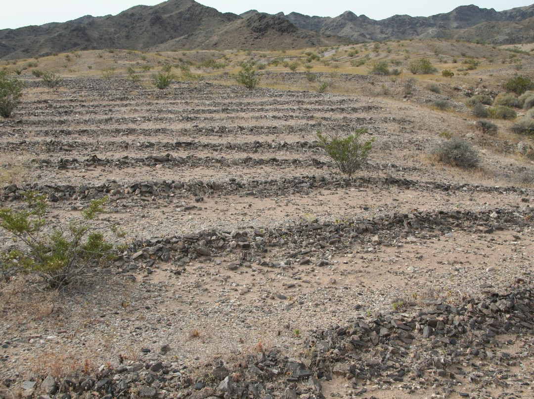 Mystic Maze-尼德尔斯必去景点