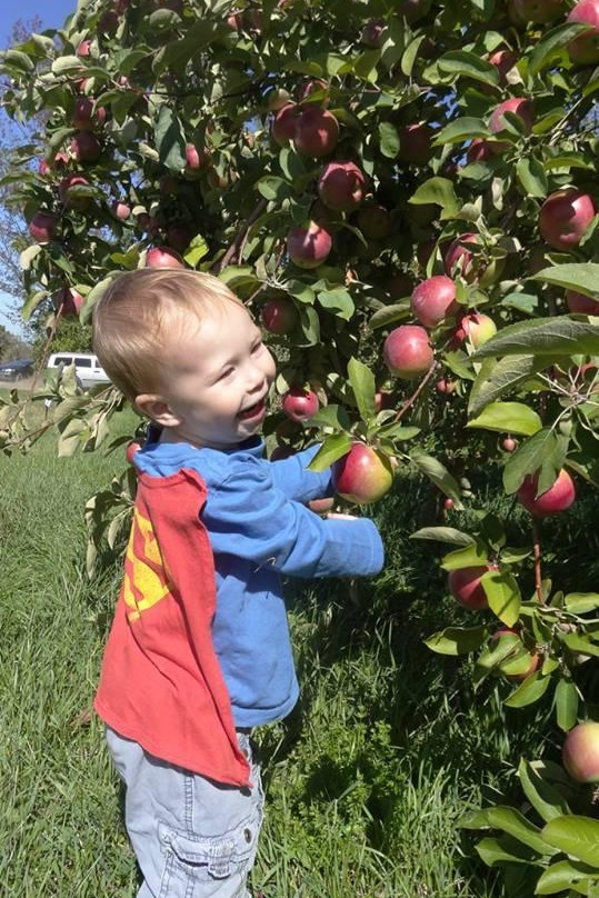 Hick's Apple Orchard-Granville必去景点
