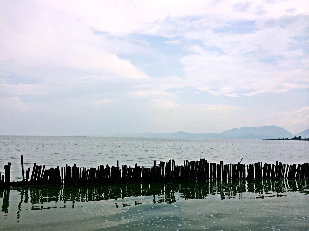 海东湿地公园-昆明市必去景点