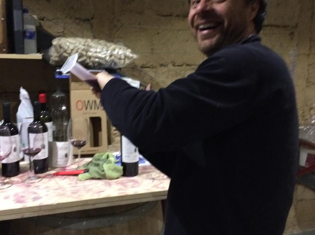 OWM-圣克鲁斯必去景点