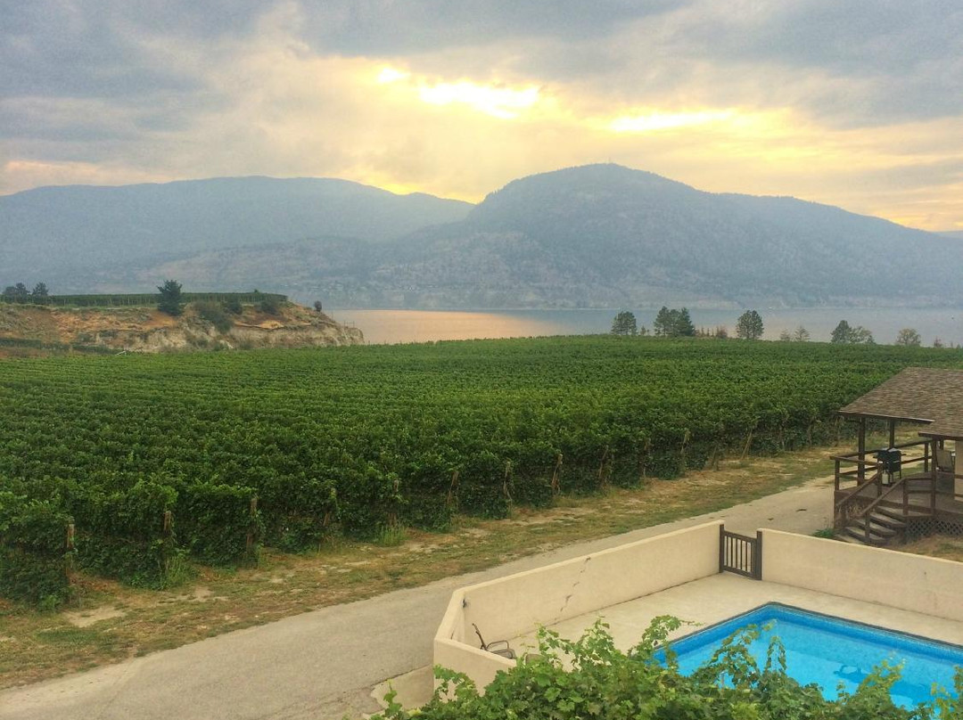 D'Angelo Winery Farm House
