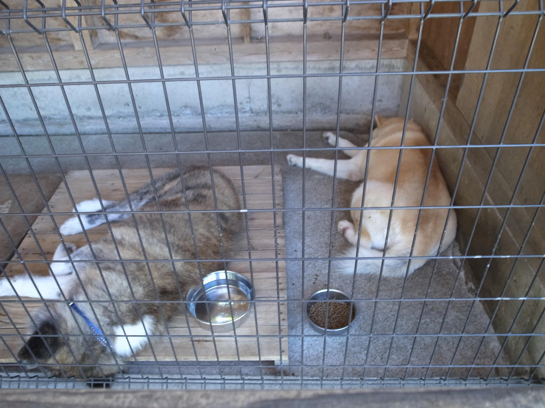 Tazawako Kyoei Palace-仙北市必去景点