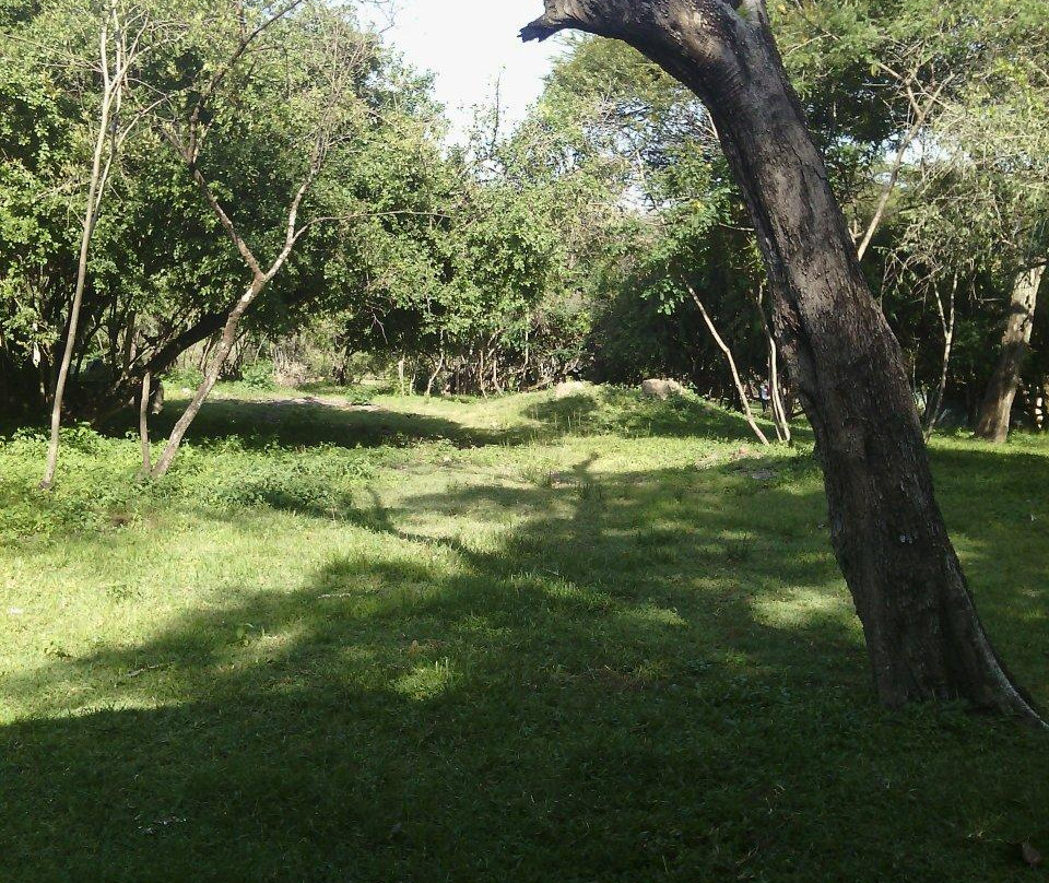 Wenney Eco Lodge