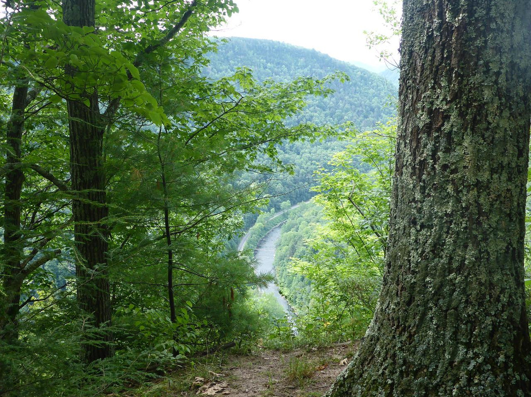 Colton Point State Park景点图片