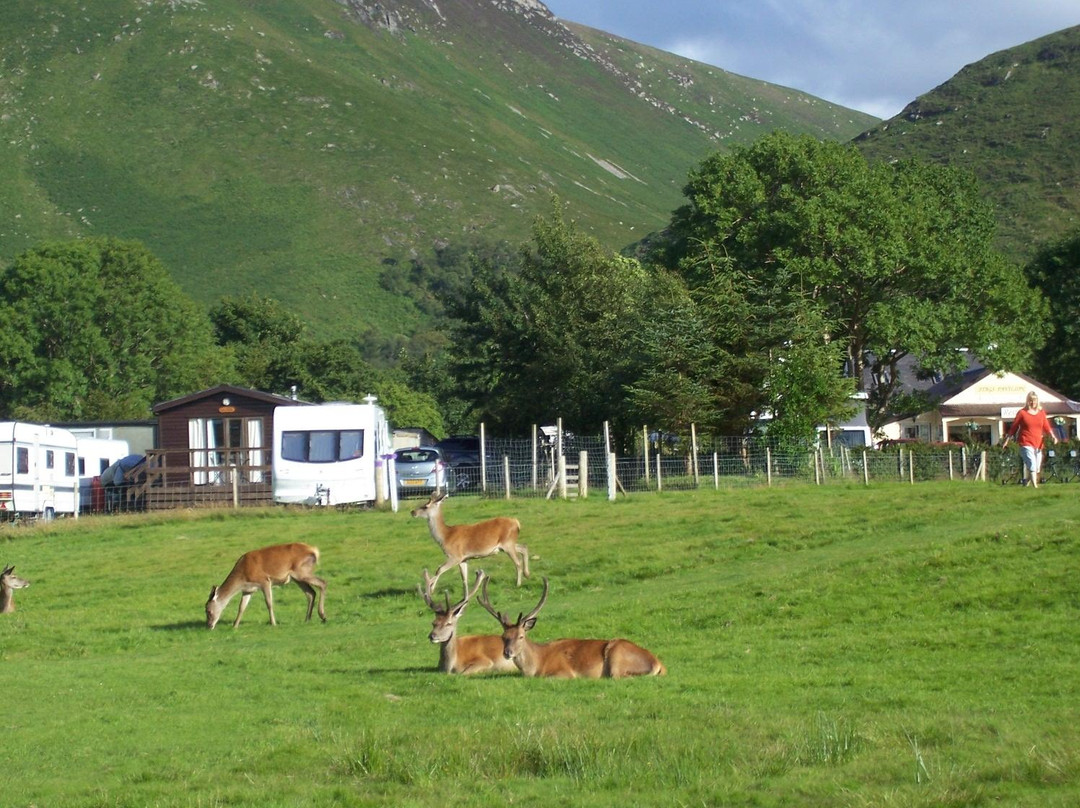 Lochranza Golf Course景点图片